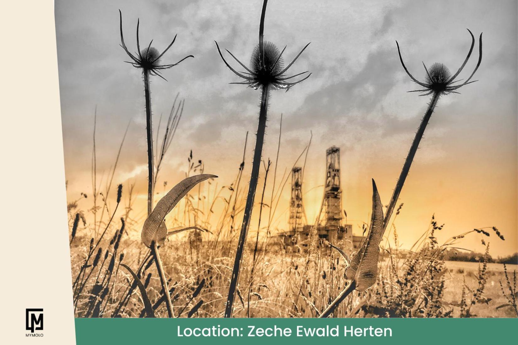 Glamping In Der Zeche Ewald Herten Herten  Zewnętrze zdjęcie